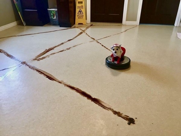 robot-vacuum-cleaner-spreads-dog-shit-everywhere-7.jpg